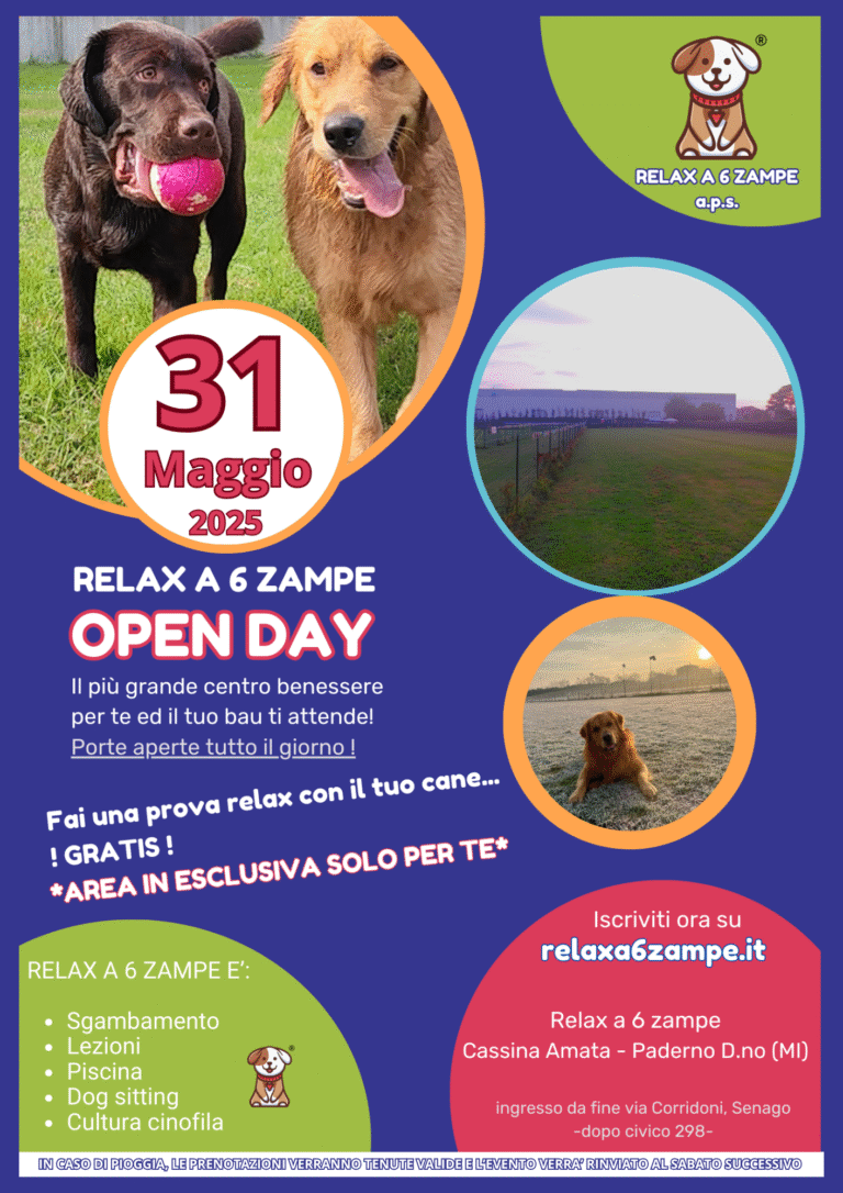 Relax Open Day - 31-05-25
