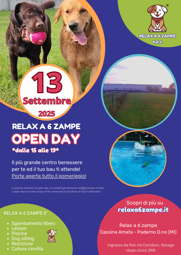 Open Day 13-09-25