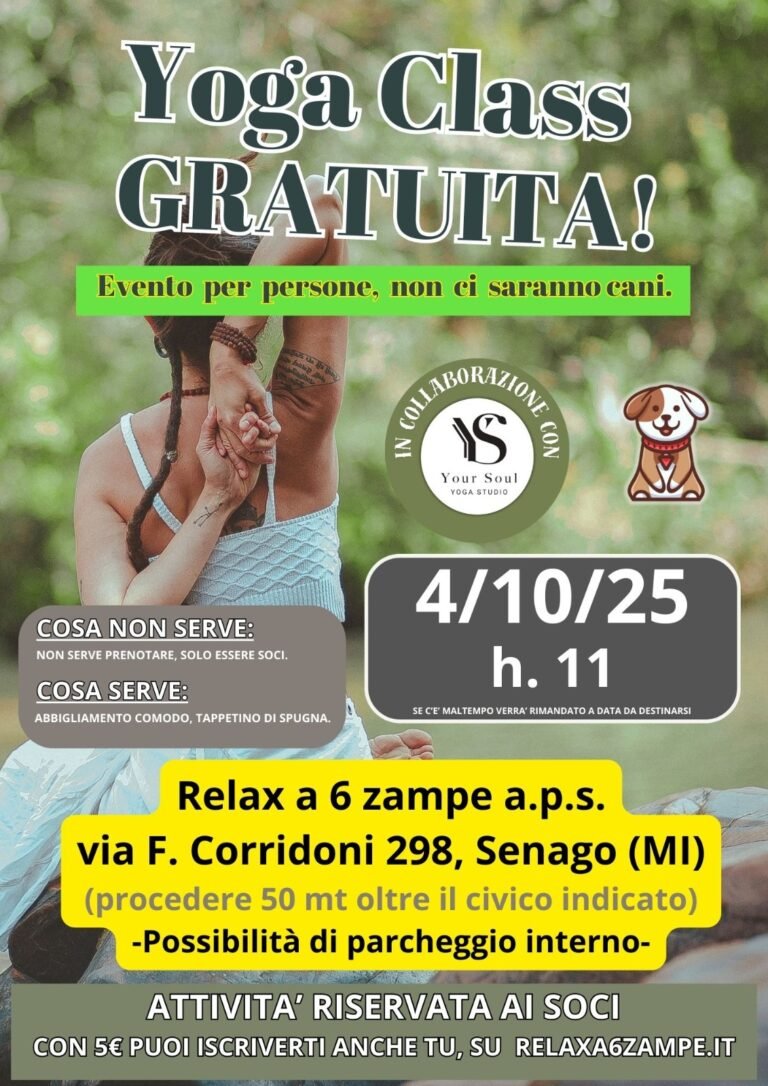 WhatsApp Image 2025-09-29 at 11.21.26